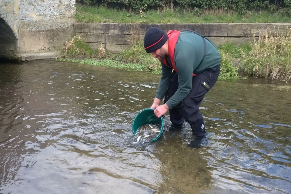 Güneydoğu Sularına 53 Binden Fazla Genç Balık Bırakıldı