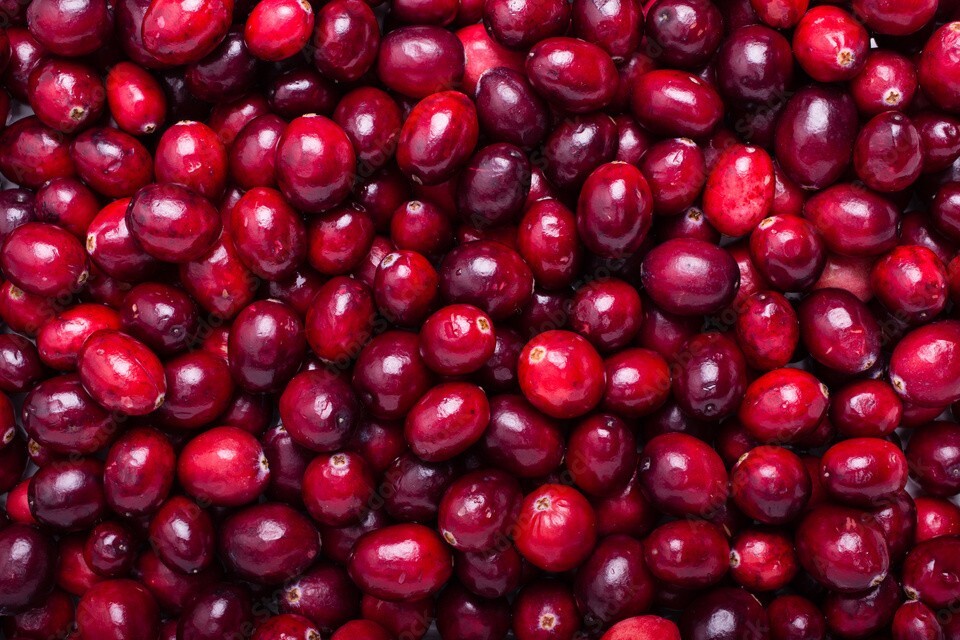 Festival yiyecekleri ve ilaçlarınız: MHRA bu kış güvende kalmanız için tavsiyeler paylaşıyor