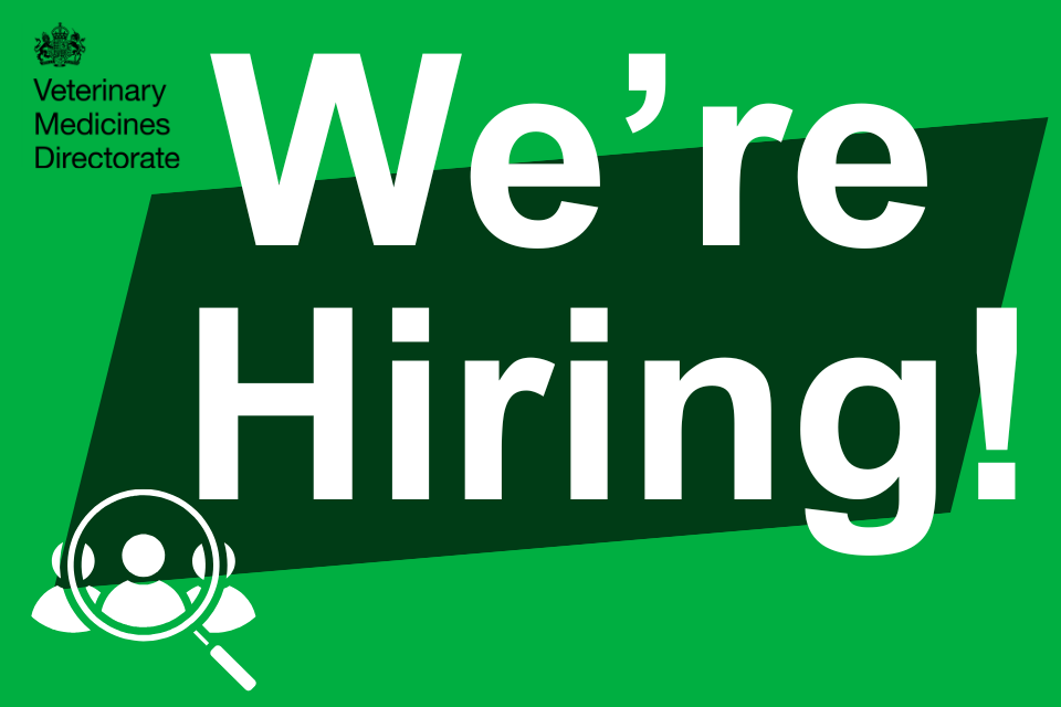 Kıdemli Politika Görevlisi Alımı