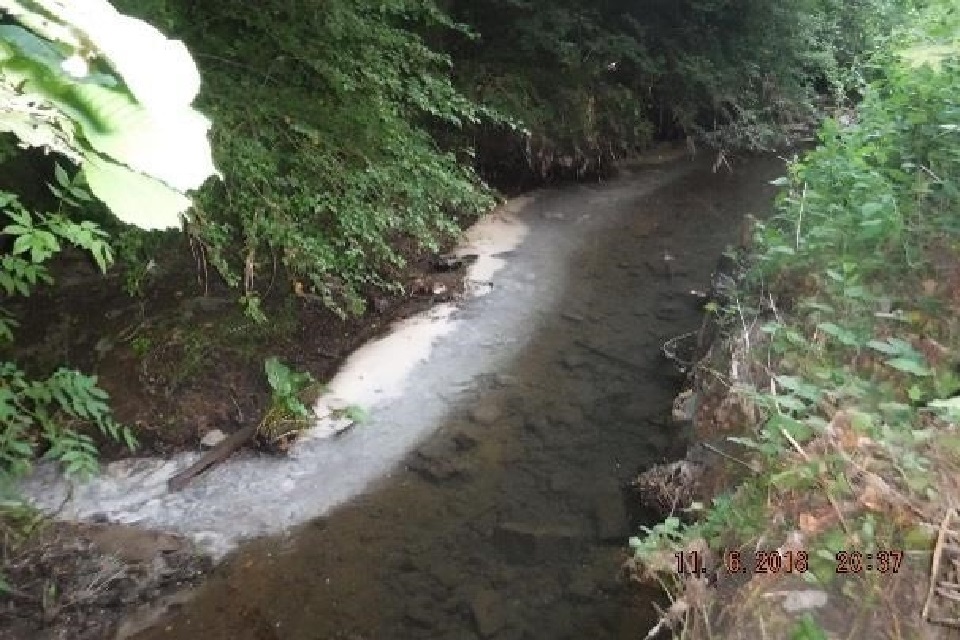 Balık Ölümü Olayı Worcestershire Firmasına 1 Milyon Sterlinden Fazlaya Mal Oldu