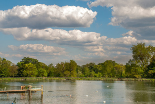 Hampstead Heath Yüzme Havuzları Danışma Sonuçları Açıklandı