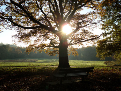 Hampstead Heath Kafelerini Kullananlara Açık Mektup