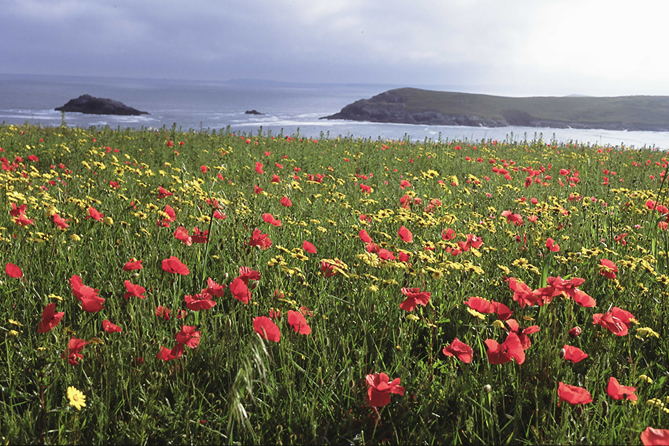Natural England Yönetim Kurulu'nda Yeni Atamalar ve Yeniden Atamalar