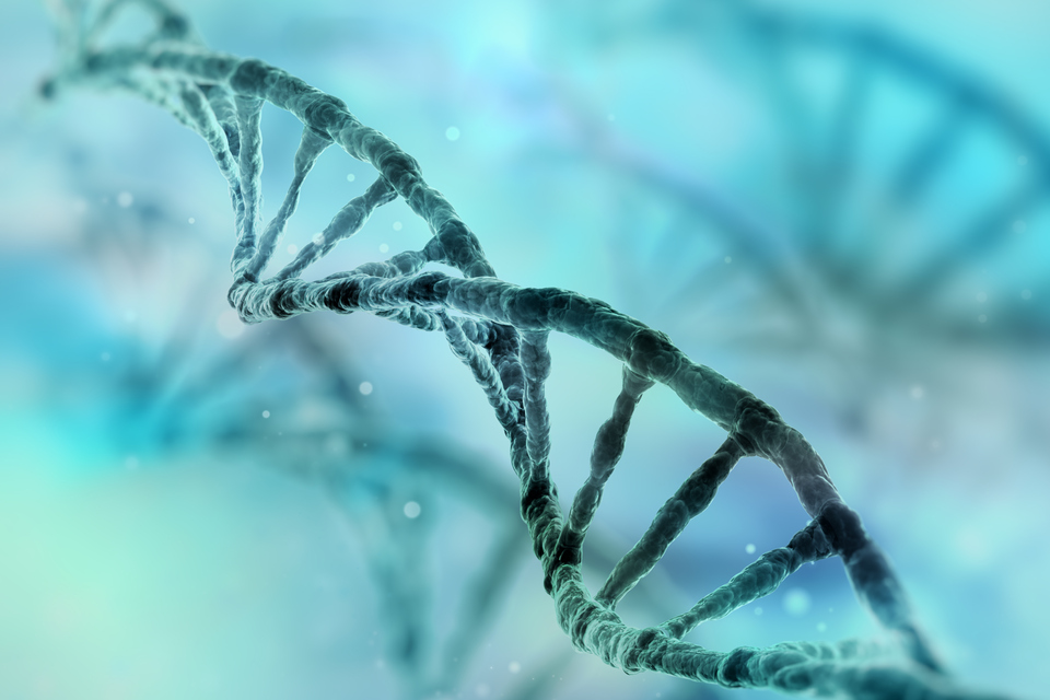 MHRA, gen terapilerinin tanımını güncellemek için Birleşik Krallık çapında istişare başlattı