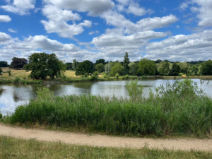 Hampstead Heath'te Yeni Vahşi Yaşam Koruma Alanı Çalışmaları Başladı