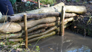 500 homes, local habitats and wildlife will benefit from Epping Forest ‘leaky dams’ project