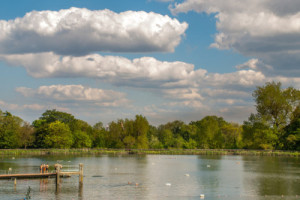 Hampstead Heath Yüzme Havuzları Danışma Sonuçları Açıklandı