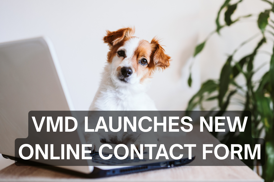 VMD, Bugün Yeni Online İletişim Formunu Kullanıma Sunuyor